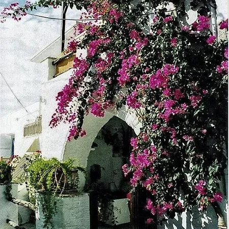 Nefeli * Άνω Σύρος